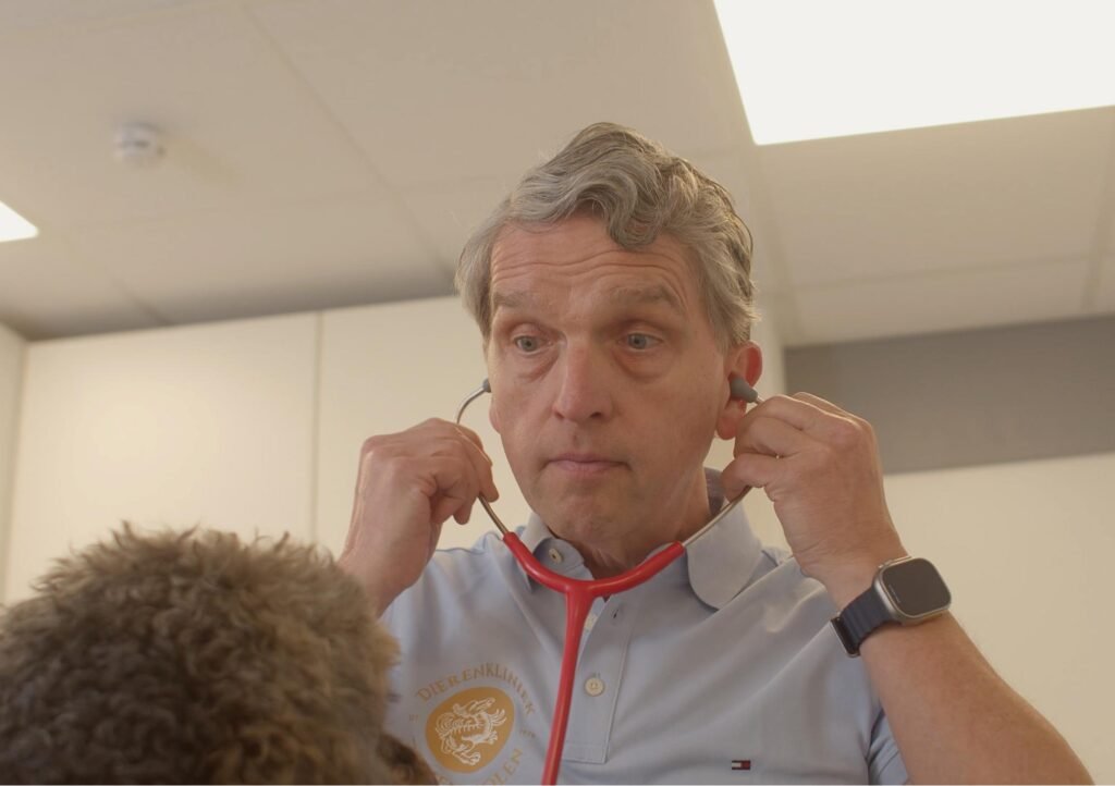 Dierenarts aan het werk in Dierenkliniek Drakenmolen – filmproductie door 709FILMS